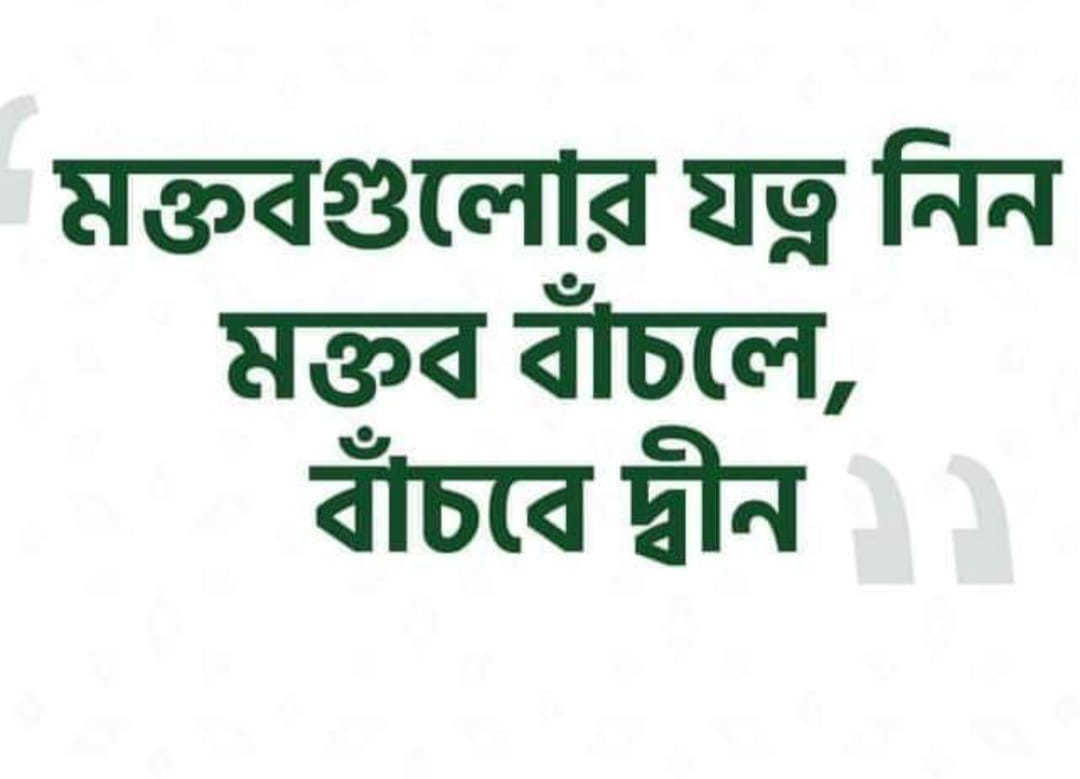 মক্তবগুলোর যত্ন নিন! মক্তব বাঁচলে, বাঁচবে দ্বীন!